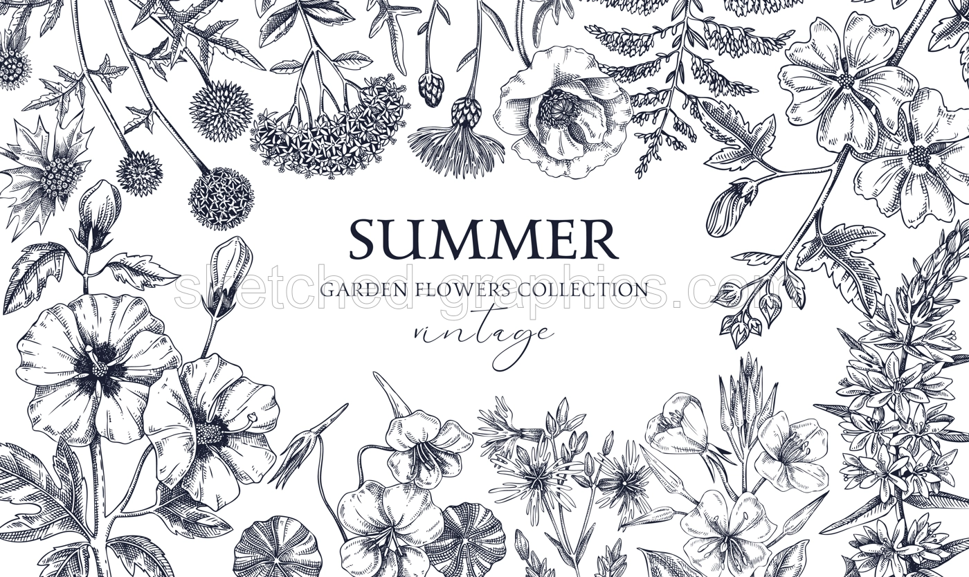 Hand drawn summer background. Garden flowers frame design in sketch style. Vintage botanical illustrations isolated on white. Floral banner for prints, cards, posters Illustration
